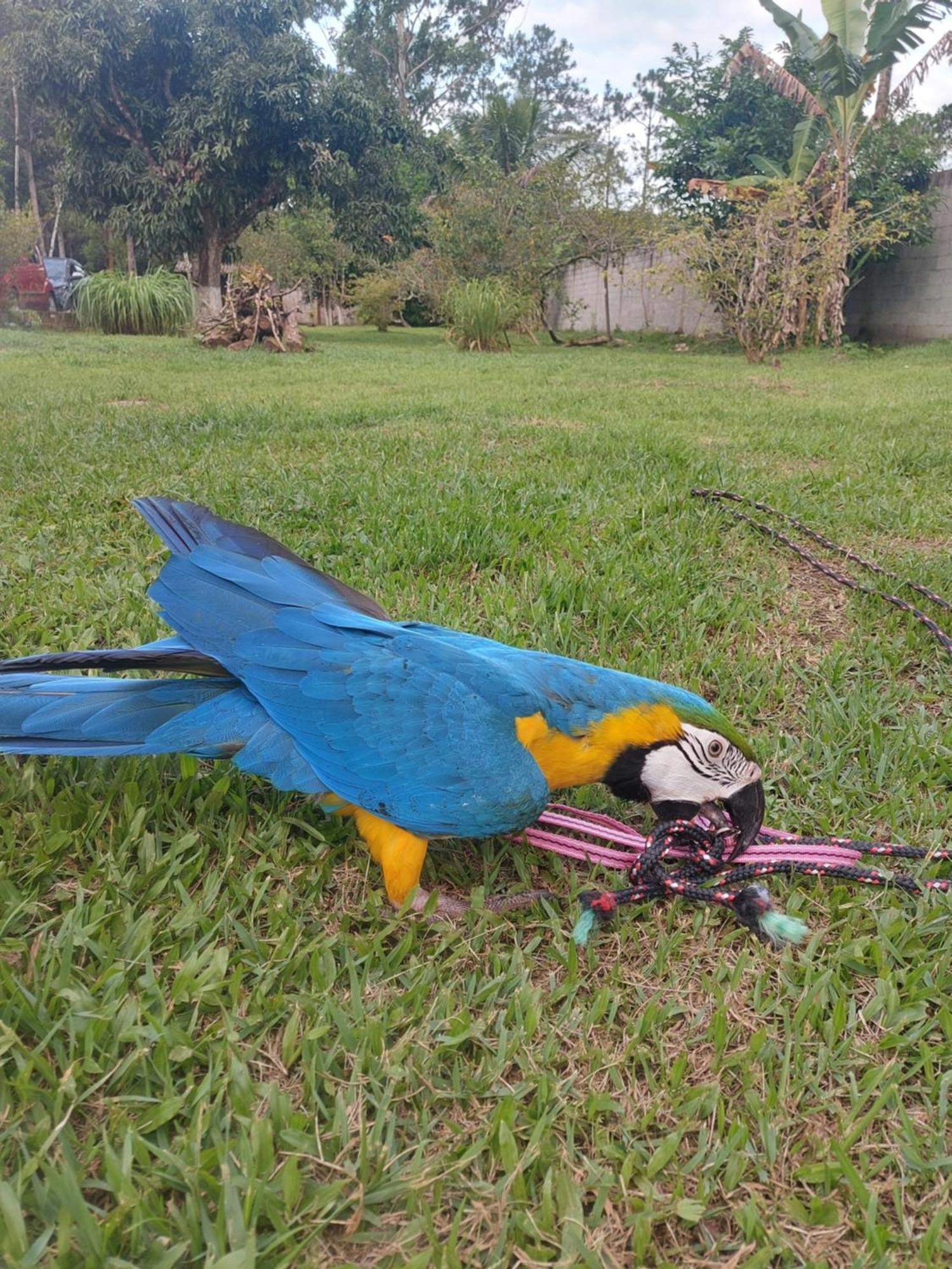 Recanto Sao Fernando Hotel Itanhaem Bagian luar foto